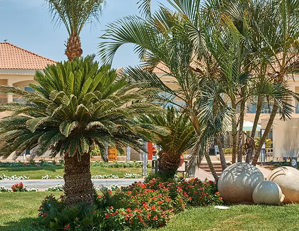 Mikes-Tropic-Lawn-Service-Commercial Commercial tree trimming and lawn services