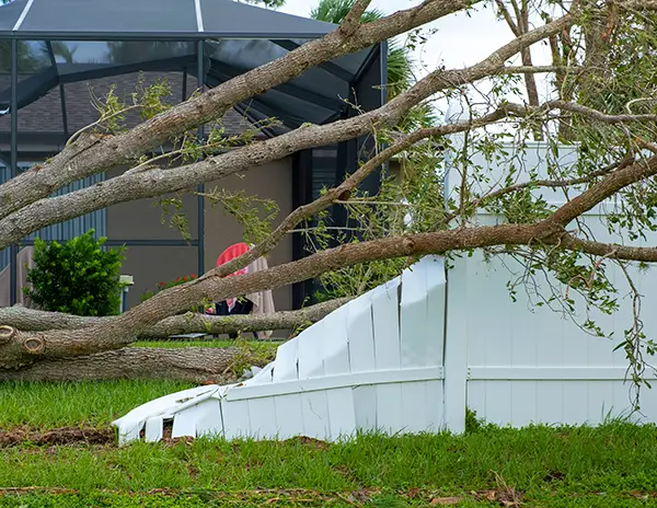 Mikes-Tropic-Tree-Service-Storm-Hurricane-Preperation Hurricane and Storm Preparedness so there is no damage